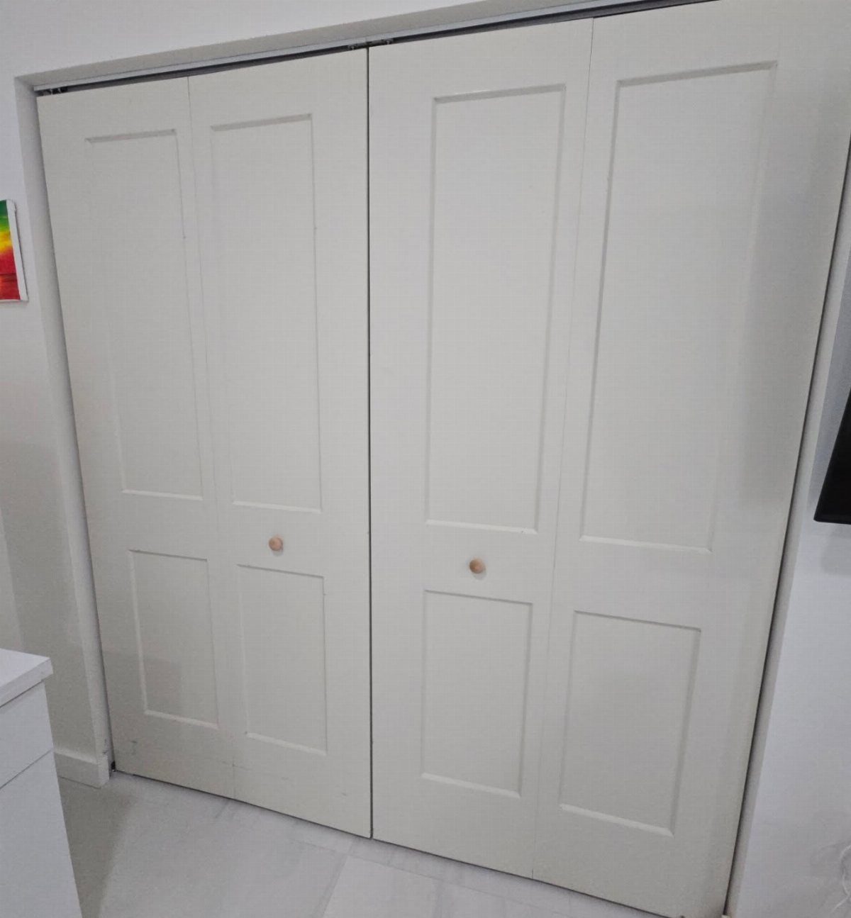 White bifold closet doors with recessed panels and small round knobs in a bright room.